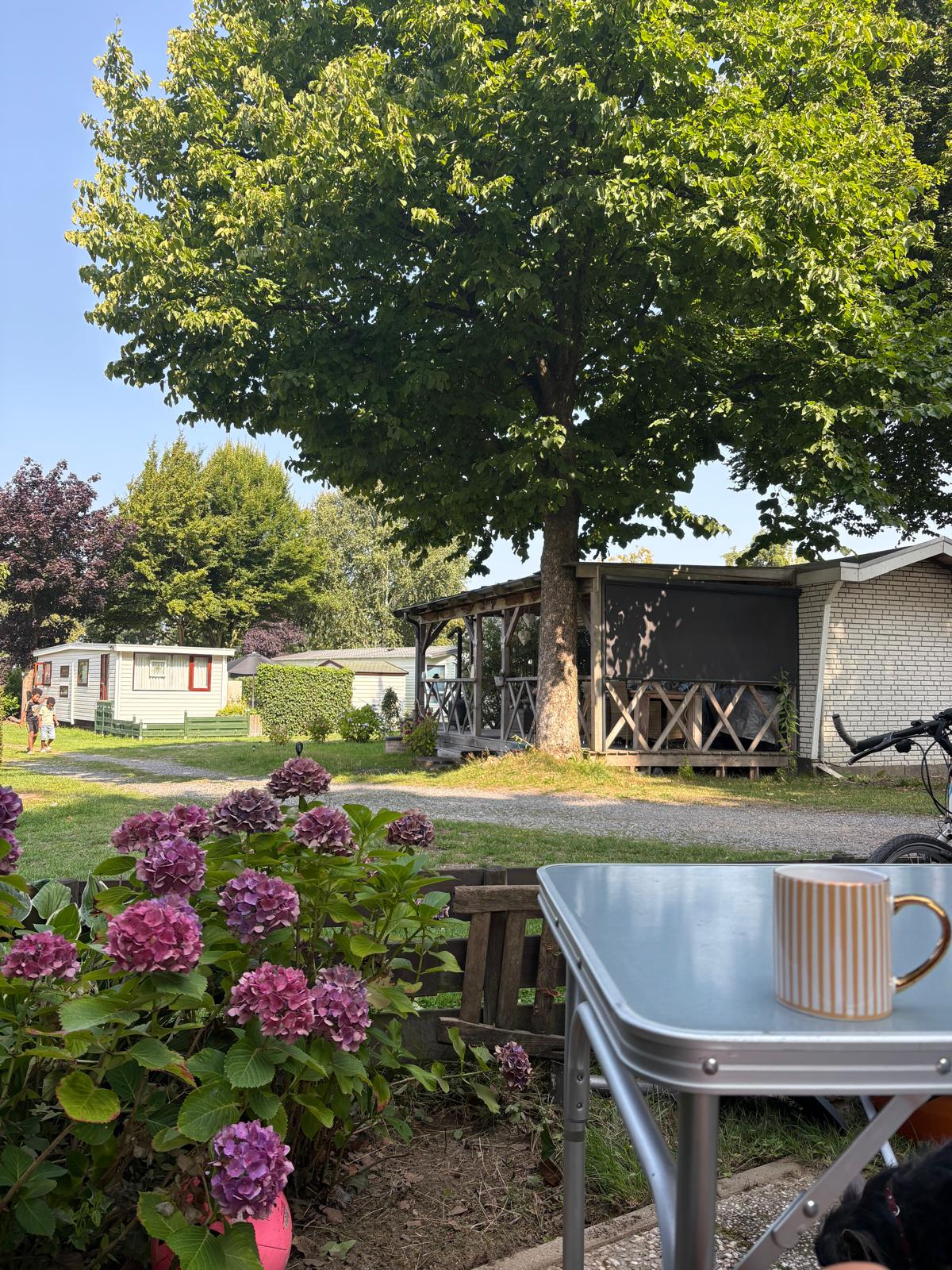 Bloemen en omgeving bij het vakantiehuisje